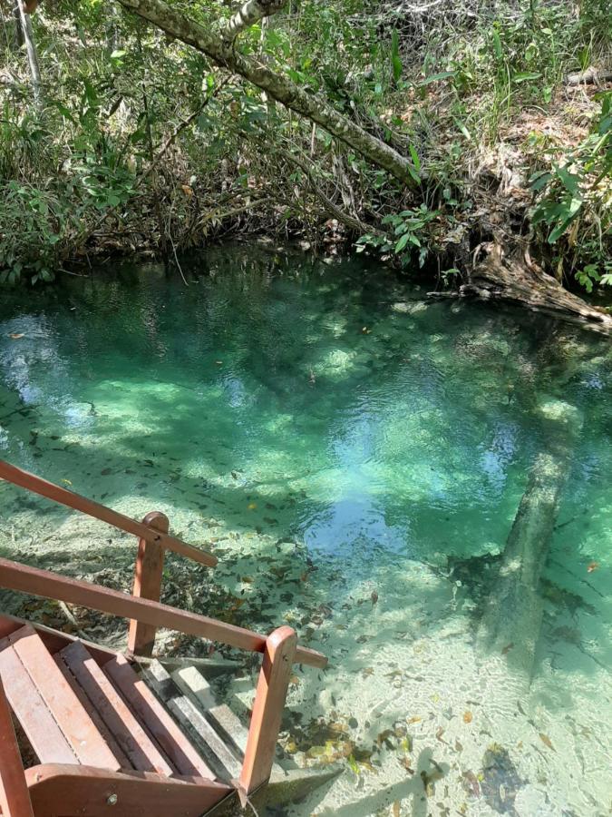 Pousada De Charme Formiga Ecolodge Mateiros Екстериор снимка